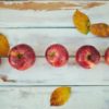Thumbnail of related posts 044